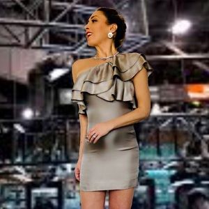 BR Grey One Shoulder Ruffle Silk Dress